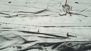 Виноград. Потепление. Кузбасс.