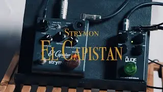 Strymon　El Capistan