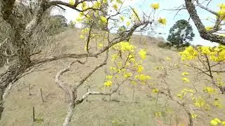 Passeio  com FPV avata (zona rural)