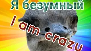 Безумный страус🦃/Crazy ostrich🦃