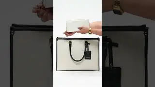 What's in My Denice 2.0 Bag?