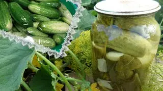 CUCUMBERS PRESERVATION!!!