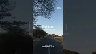 Berburu sunset di Taman Nasional Baluran Situbondo #shorts