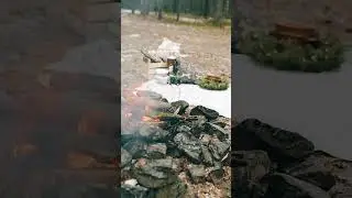 Готовим на костре #grill #grillfood #hungry #вкусныйканал #рецепты #food #shorts #shortsvideo