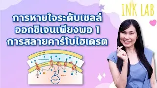 🧬เซลล์และการทำงานของเซลล์ 10 : การหายใจระดับเซลล์แบบออกซิเจนเพียงพอ 1 [Biology#27]