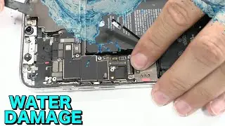 iPhone 12 Pro Max Water Damage