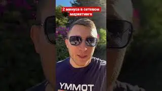 ‼️Минусы Сетевого маркетинга. Почему есть негатив? 