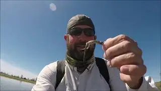 Fly Fishing For Bass- How I Do It