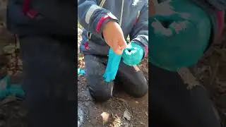 эксперименты начало хорошее как вам