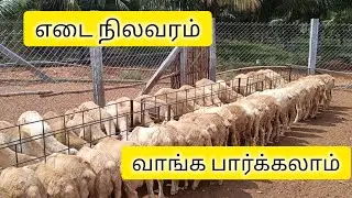இப்படி இருந்த எடை எப்படி மாறும் னு பார்க்கலாம் ங்க
