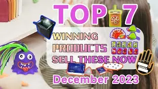 Wefulfil Top Winning Product