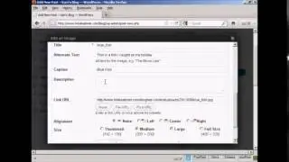 Formatting WordPress Images