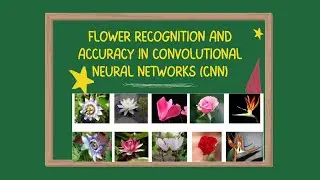 Flower Recognition and Accuracy in Convolutional Neural Networks (CNN)