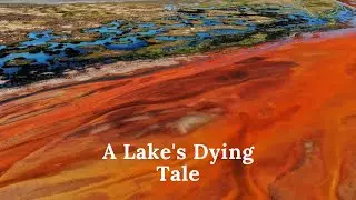 The Andean Enigma: A Lake's Dying Tale