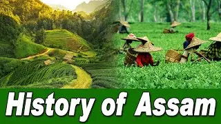 History of Assam - Amazing Facts About Assam in Hindi #educationworld #assam #historyfacts #facts
