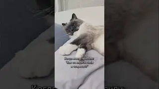А почему бы и нет😅