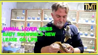 Animal lover gives baby squirrels new lease on life