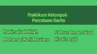 Praktikum percobaan sachs| percobaan fotosintesis menghasilkan amilum(karbohidrat)