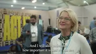 Helene Fritzon MEP at the COP27