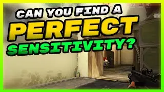 Does PERFECT SENSITIVITY Exist?