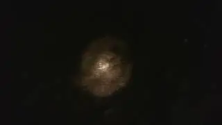 Дикий ночной гость