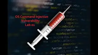 OS Command Injection Lab01 simple case