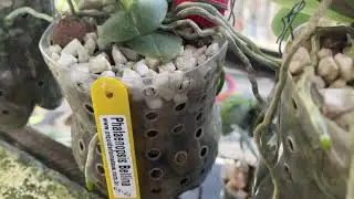 I WAS SCARED WHEN I SAW THIS