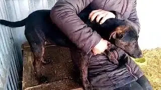 Indira, 04.03.2018