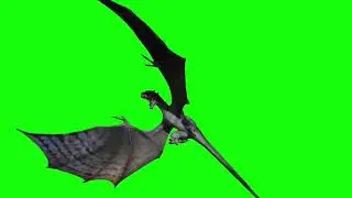 Dragon Green Screen Anima Video Effect - Зеленый экран эфект #Дракон