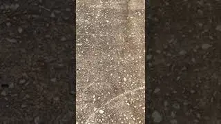 Concrete Pressure Washing Results - 14