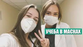 ПЕРВЫЙ УЧЕБНЫЙ ДЕНЬ В МЕДИЦИНСКОМ | Будни студента медика #15