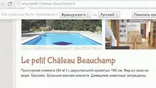 Коровы в России на грани исчезновения?