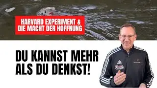 Harvard Experiment & die Macht der Hoffnung