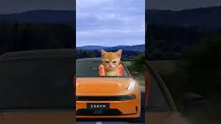 Kisa buys Zeekr 001🔥 Kisa explains!😻🚗 Buy new good cars on Avto.ru Link in bio