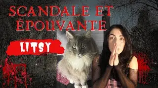 STORY TIME ÉPOUVANTE: LE JOUR OÙ J'AI PERDU LITSY