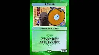 MOTHRA q&a w Spaghetti Seal