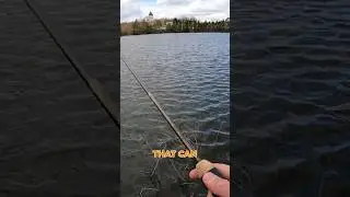 Retrieving Tricks to Catch Huge Largemouth Bass! 