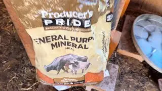 Minerals for a small goat herd. ￼