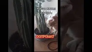 Если надо тебе сдавать #сопромат #теормех , то пиши мне в комментарии или тг
