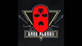 Gang Albanii ´´Koks z Ekwadoru´´ PRZECIEK ZE STUDIA !!!!