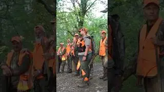 WildBoar Hunting Competition #shorts