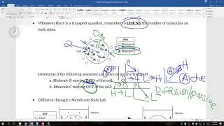 Cell Membrane Review