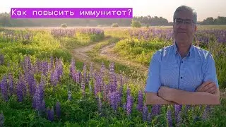 Как повысить иммунитет?