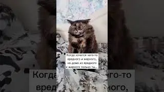 Когда хочется...
