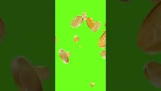 #shorts Coins Blast 🎊💰🎉Green Screen with Sound Effect🔊 #audiovideooriginal