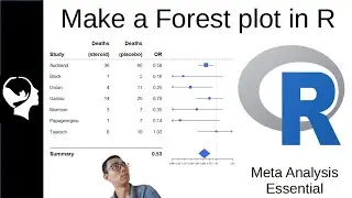 You will need this for your meta analysis | Forest plot in RStudio