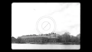 Stranglehold (Lyric Video)