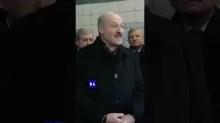 ЛУКАШЕНКО ПОКРЫЛ ДЕРЬМОМ ЧИНОВНИКОВ #лукашенко #политика #россия