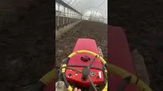 18 января 2022 г.