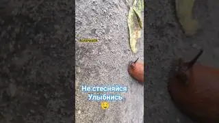 не стесняйся УЛЫБАЙСЯ